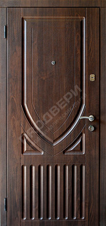 Фотография «Дверь трехконтурная №22»