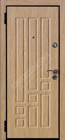 Фотография «Дверь трехконтурная №14»